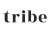 Tribe Funding: apžvalga ir atsiliepimai