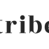 Income Marketplace (getincome.com) atsiliepimai